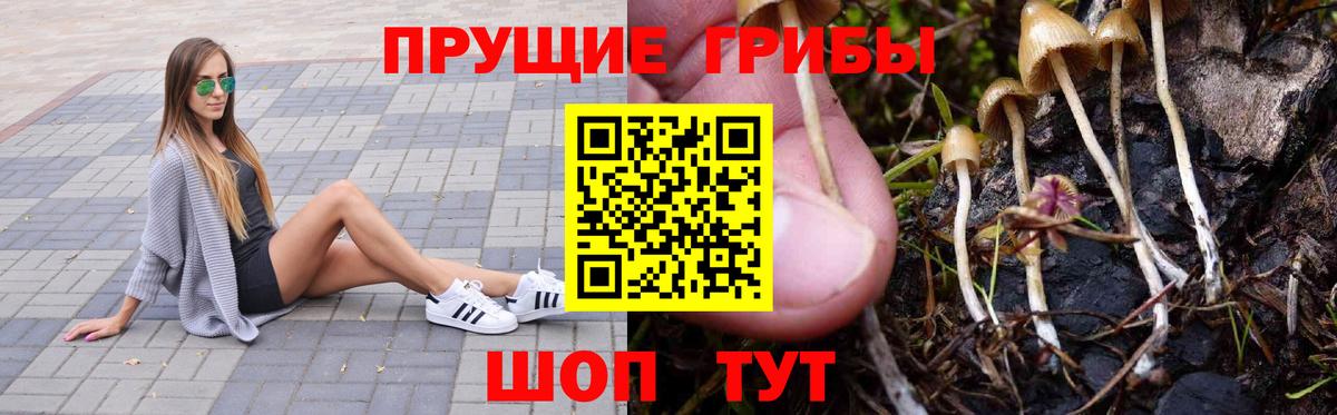 Псилоцибиновые грибы ЛСД Новороссийск