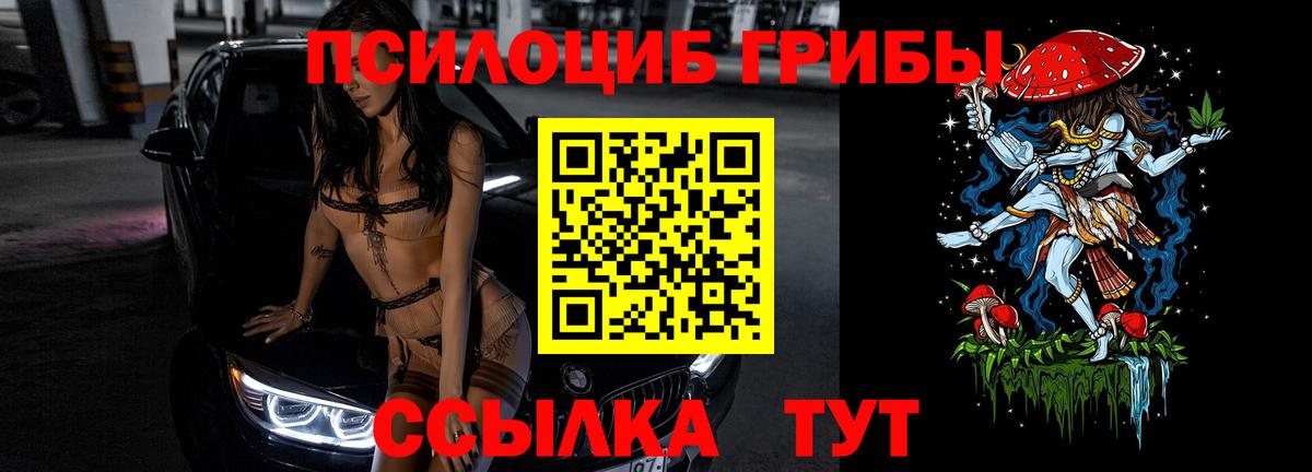 где купить наркотик  Псилоцибиновые грибы ЛСД  Псилоцибиновые грибы Magic Shrooms  Вход с VPN  Новороссийск 